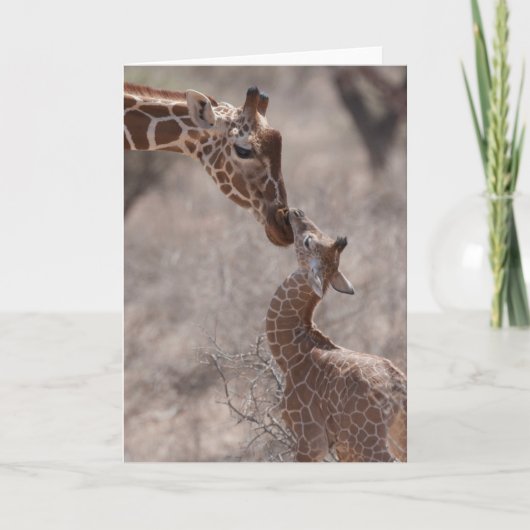 Carte Animaux de bébés cutest | Giraffe mère et bébé (Devant)