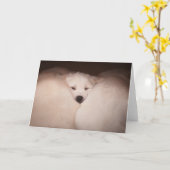 Carte Animaux de bébés cutest | Golden Retriever Snuggle (Fleur jaune)