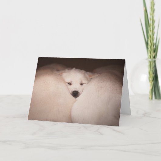 Carte Animaux de bébés cutest | Golden Retriever Snuggle (Devant)