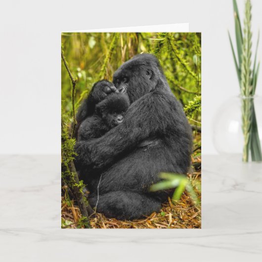Carte Animaux de bébés cutest | Gorilla & bébé (Devant)