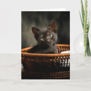 Carte Animaux de bébés cutest   Kitten dans le panier