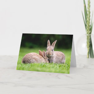 Carte Animaux de bébés cutest Lapins de lapin sauvage