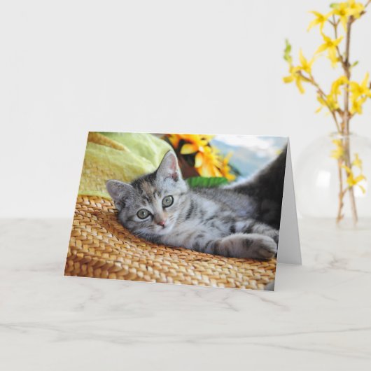 Carte Animaux de bébés cutest | Lounge Kitten (Fleur jaune)