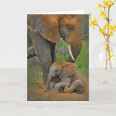 Carte Animaux de bébés cutest | Mama Elephant & Baby (Fleur jaune)