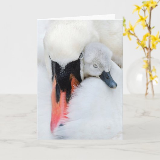 Carte Animaux de bébés cutest | Mère et bébé Mute Swan (Fleur jaune)