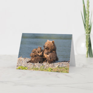 Carte Animaux de bébés cutest Mère Ours & Cubs