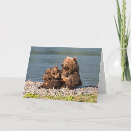 Carte Animaux de bébés cutest | Mère Ours & Cubs (Devant)