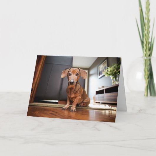 Carte Animaux de bébés cutest | Mini chiot (Devant)