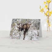 Carte Animaux de bébés cutest | Moose Calf (Fleur jaune)