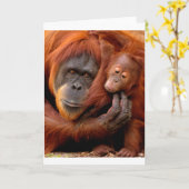 Carte Animaux de bébés cutest | Orangutan Maman & Baby (Fleur jaune)