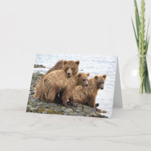 Carte Animaux de bébés cutest Ours et oursons