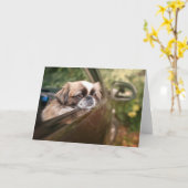 Carte Animaux de bébés cutest | Pekingese Chiot en voitu (Fleur jaune)