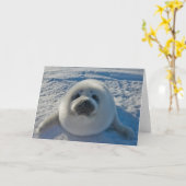 Carte Animaux de bébés cutest | Phoque bébé (Fleur jaune)