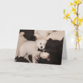 Carte Animaux de bébés cutest | Pile de marionnettes (Fleur jaune)