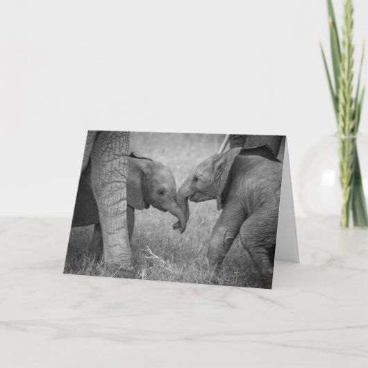 Carte Animaux de bébés cutest | Salutation des éléphants (Devant)