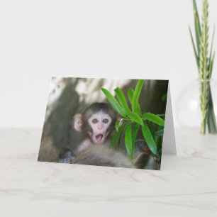 Carte Animaux de bébés cutest Singe des neiges surpris