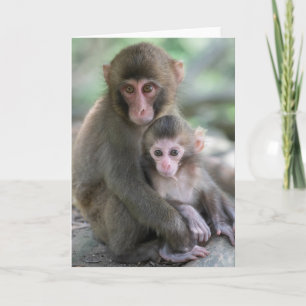 Carte Animaux de bébés cutest Singes japonais