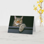 Carte Animaux de bébés cutest | Tête de chat gris Tabby (Fleur jaune)