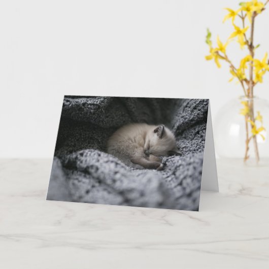 Carte Animaux de bébés cutest | Tiny Kitten Dormir (Fleur jaune)