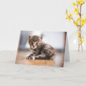 Carte Animaux de bébés cutest | Tiny Tabby Kitten (Fleur jaune)