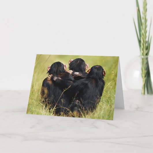 Carte Animaux de bébés cutest | Trois chimpanzés en trai (Devant)