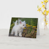 Carte Animaux de bébés cutest | West Highland White Terr (Fleur jaune)