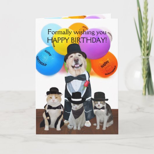 Carte Animaux de compagnie formels amusants Anniversaire (Devant)
