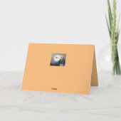 Carte Animaux de compagnie Kitty Chats Parrot joyeux Se  (Dos)