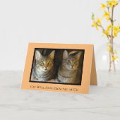 Carte Animaux de compagnie Kitty Chats Parrot joyeux Se  (Fleur jaune)