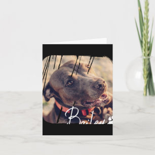 Carte Animaux Domestiques Moderne Simple Cool Nge Nom Et