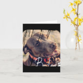 Carte Animaux Domestiques Moderne Simple Cool Nge Nom Et (Fleur jaune)