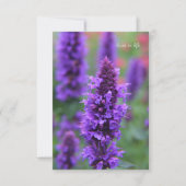 Carte Anise Hyssop Note (Devant)