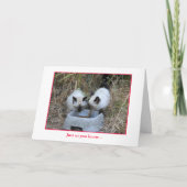 Carte Anniversaire (Devant)