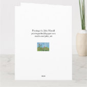 Carte Anniversaire (Dos)