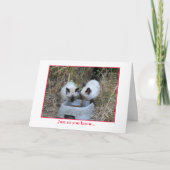 Carte Anniversaire (Devant)