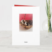 carte anniversaire (Dos)