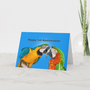 Carte Anniversaire, 1ère, Perroquets amoureux