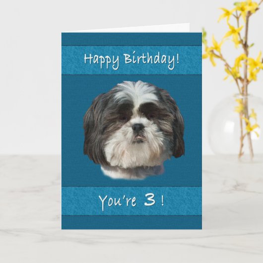 Carte Anniversaire, 3e, Chih Tzu Chig (Fleur jaune)