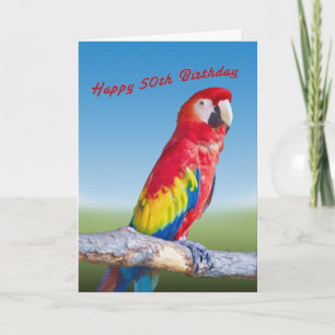 Carte Anniversaire, 50, Macaw Parrot
