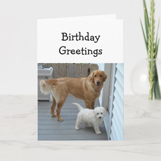 Carte Anniversaire à la fois nous Golden Retriever (Devant)