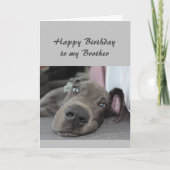 Carte Anniversaire à mon frère Fun Dog Relax Humour (Devant)