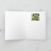 Carte Anniversaire à Roo Fun Kangaroo Australie Art anim (Intérieur)