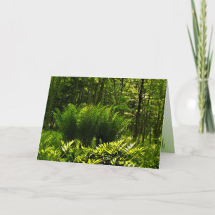 Carte Anniversaire Abstrait de Wild Fern