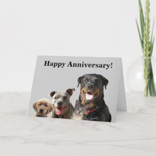 Carte Anniversaire Adorable pour animaux de compag