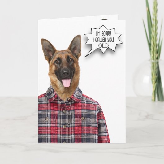 Carte Anniversaire Allemand Berger Chien Humour (Devant)