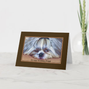 Carte Anniversaire, Ami, Chien Sleepy Shih Tzu