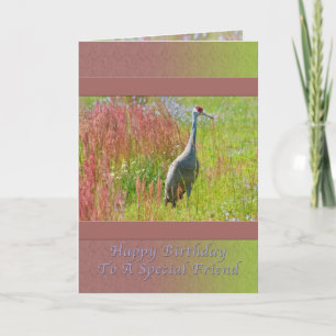 Carte Anniversaire, Ami, Grue de Sandhill Bird
