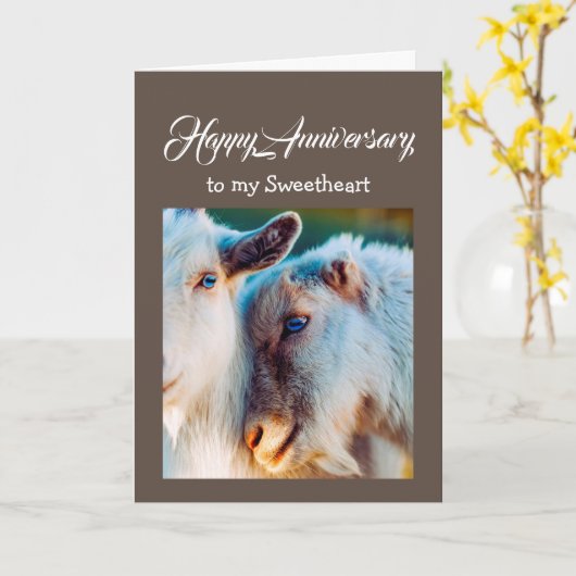 Carte Anniversaire Amour Chèvre (Fleur jaune)