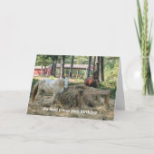Carte Anniversaire amusant de l'amoureux du cheval (Devant)