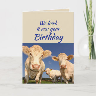 Carte Anniversaire Amusant De Nous Vache Animal Humour